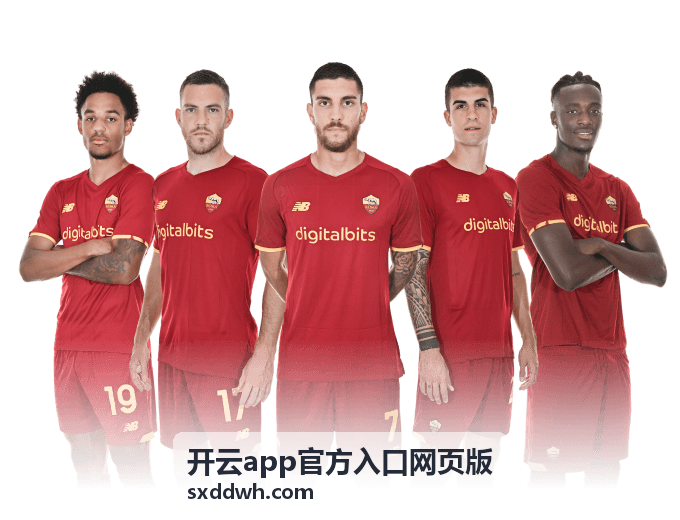 开云app官方入口网页版安全升级封面