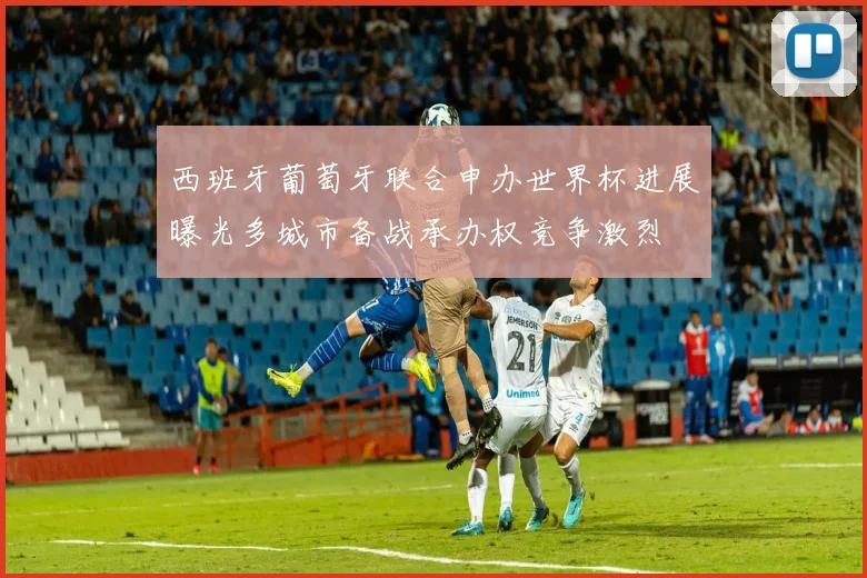 西班牙葡萄牙联合申办世界杯进展曝光多城市备战承办权竞争激烈