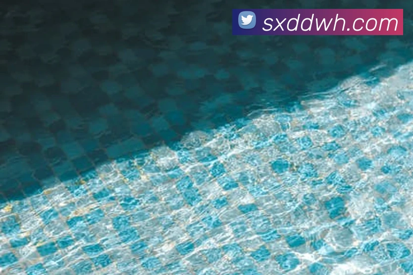 kaiyun登录入口网址平台生态图