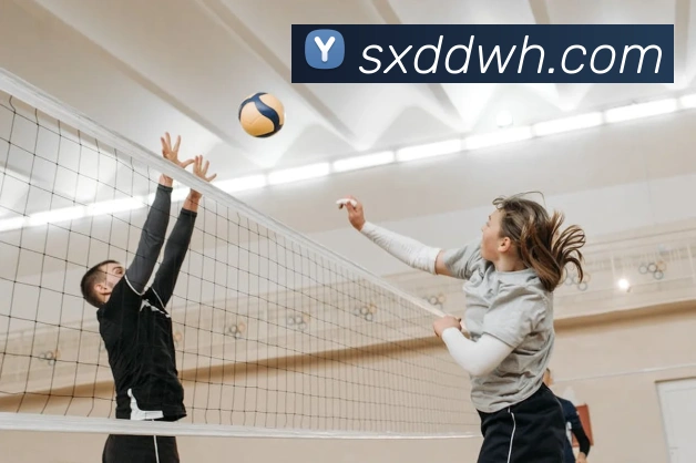 kaiyun登录入口网址APP 封面图